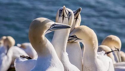 开云网站：让创意在云端起航